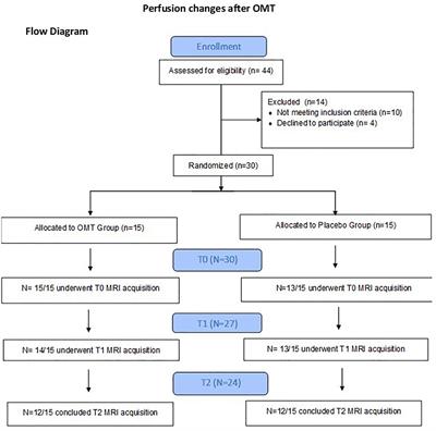 Cerebral Perfusion Changes After Osteopathic Manipulative Treatment: A Randomized Manual Placebo-Controlled Trial